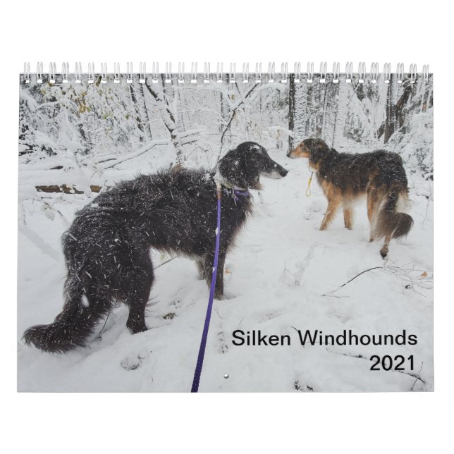 Calendario Silken Windhounds 2021 Varios adultos (Tapa)