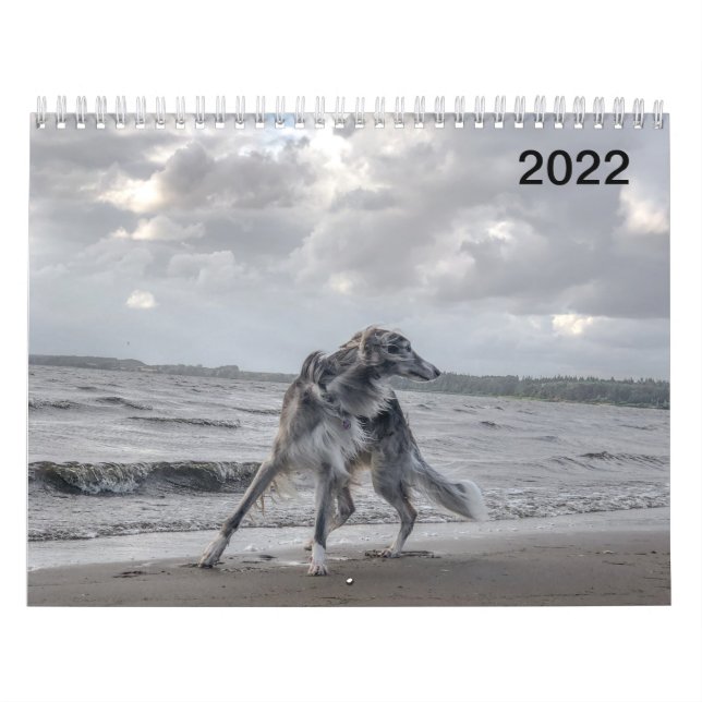 Calendario Silken Windhounds 2022 (Múltiples Perros Y En Acci (Tapa)