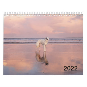 Calendario Silken Windhounds (Permanente) 2022