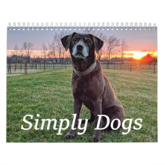 Calendario Simply Dogs calendar