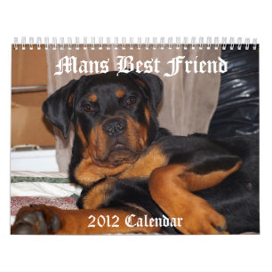 Calendario Sirve al mejor amigo
