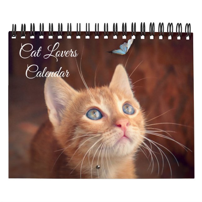 Calendario Small Size Cat Lovers Calendar (Tapa)