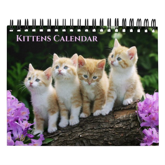 Calendario Small Size Kittens Calendar (Tapa)