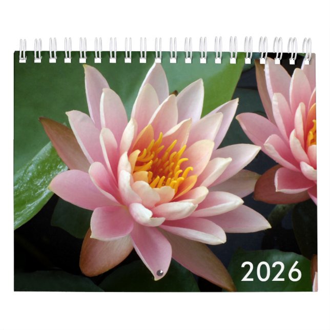 Calendario Small Water Lilies Calendar 2026 (Tapa)