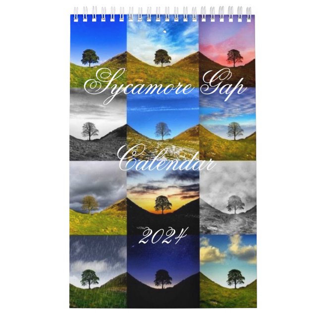 Calendario SmallCalendar de una sola página, blanco (Tapa)