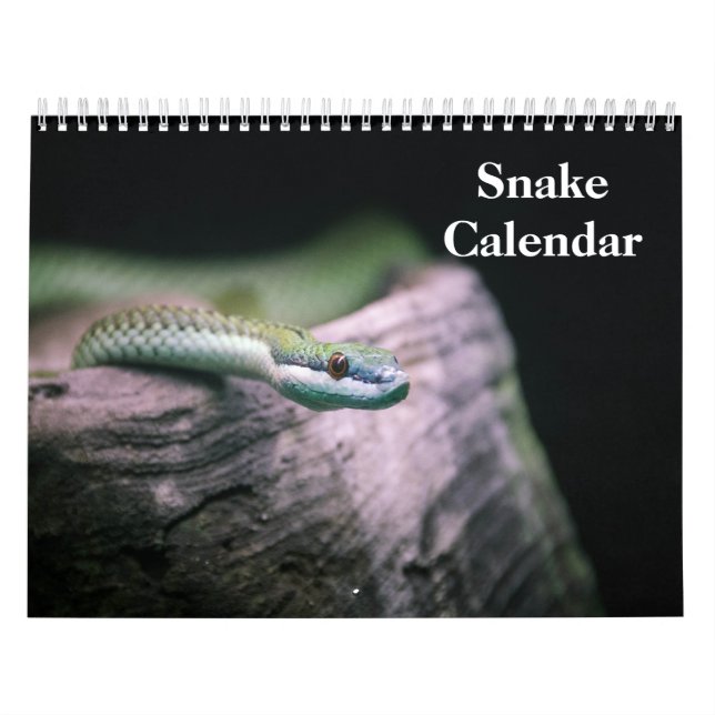 Calendario Snake Calendar 2026 (Tapa)