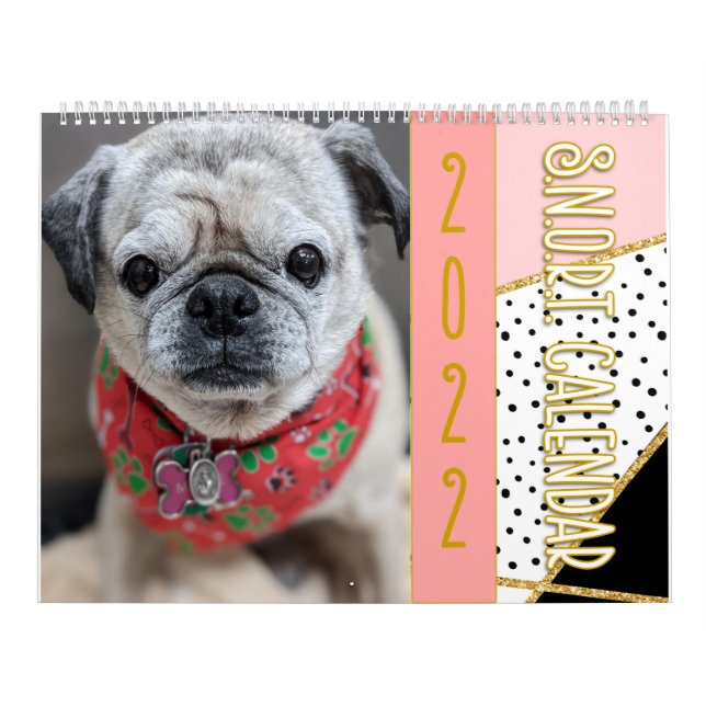 Calendario SNORT 2022 (Tapa)