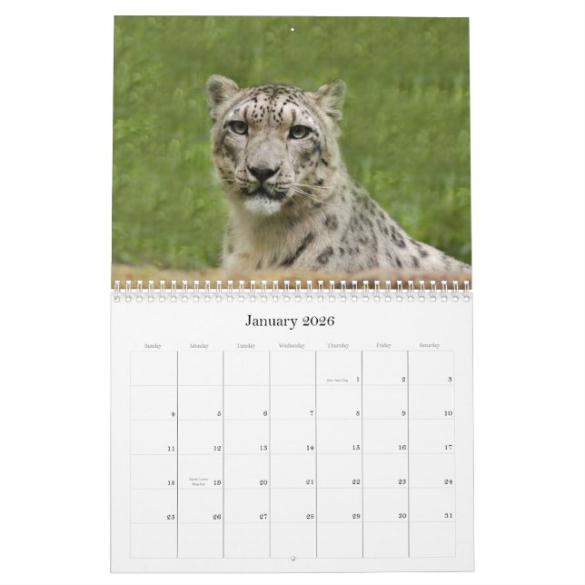 Calendario SnowLeopardBCR012, onza (Jan 2026)