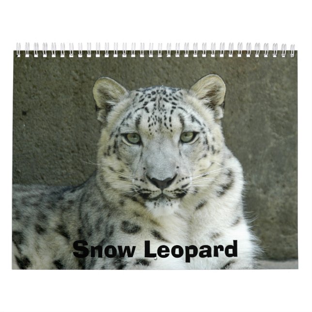Calendario SnowLeopardM002, onza (Tapa)