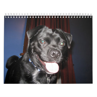 Calendario Sobre todo BO