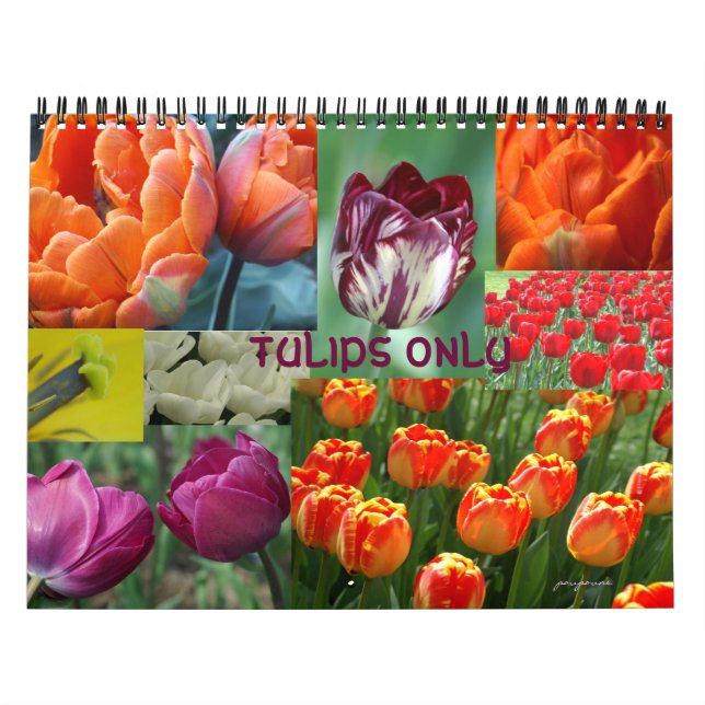 Calendario sólo tulipanes (Tapa)