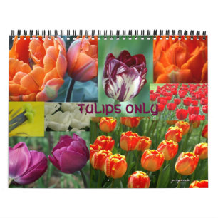 Calendario sólo tulipanes
