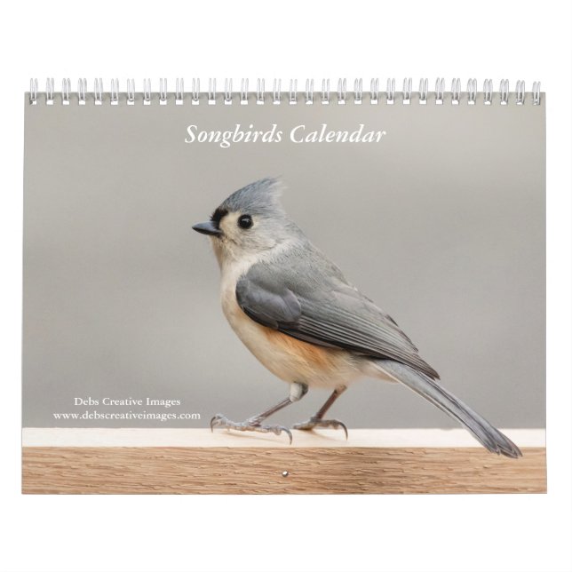 Calendario Songbirds 2026 (Tapa)