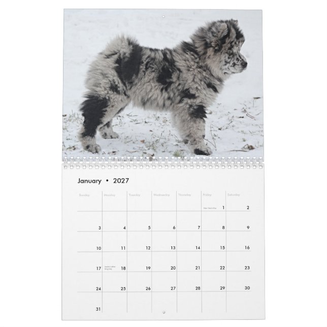 Calendario Sophia 2015 Personalizado Chow Calendar (Jan 2027)