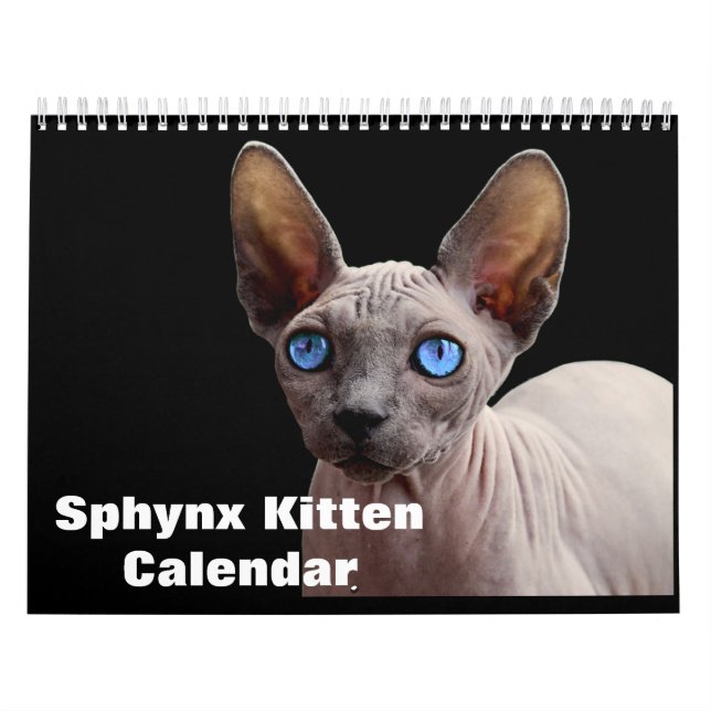 Calendario Sphynx Kitten 2025 (Tapa)