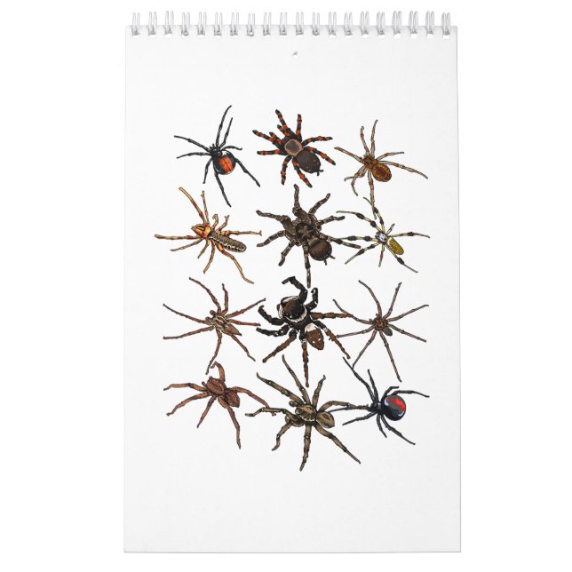 Calendario Spider Guay Para Hombres Mujeres Arachnid Spooky S (Tapa)