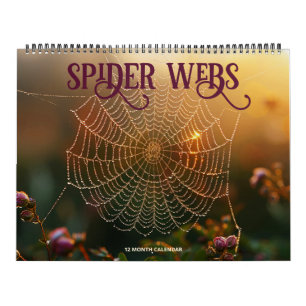 Calendario Spider Webs