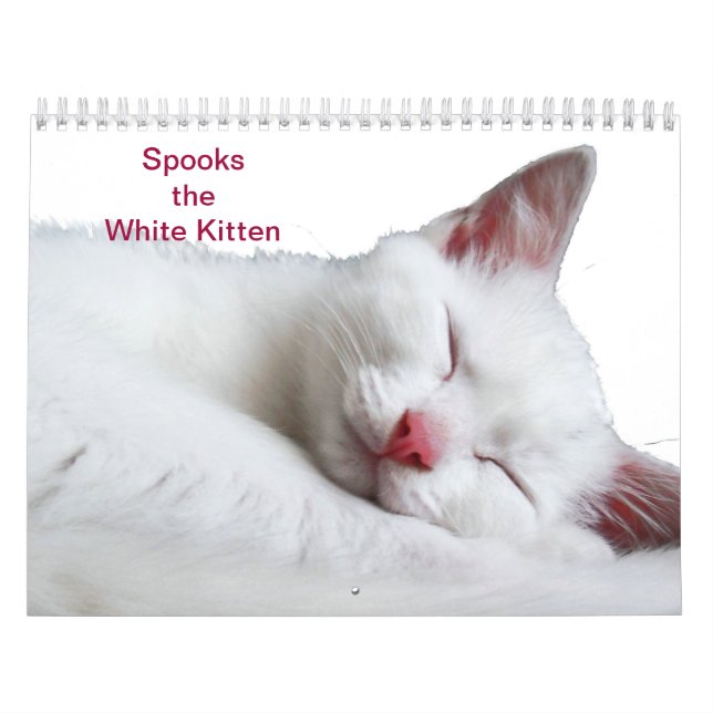 CALENDARIO SPOOKS EL GATITO BLANCO - CALLENDER (Tapa)