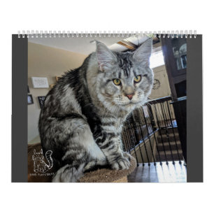 Calendario Sr. Perrito-Calcetín Calendar