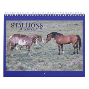 Calendario "Stallions" MustangWild 2026
