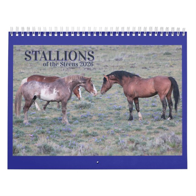 Calendario "Stallions" MustangWild 2026 (Tapa)