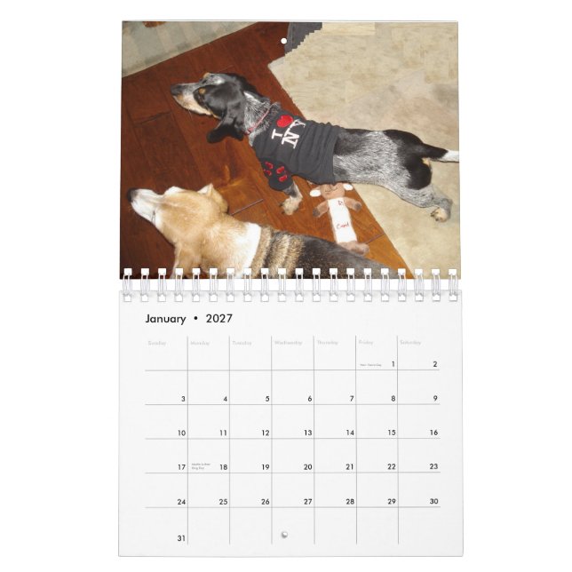 Calendario Stormi 2012 (Jan 2027)