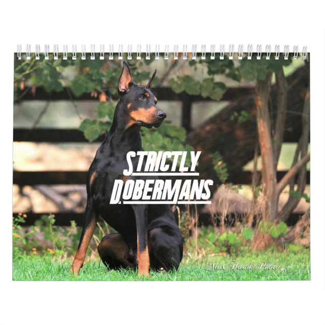 Calendario Strictly Dobermans 2026 (Tapa)