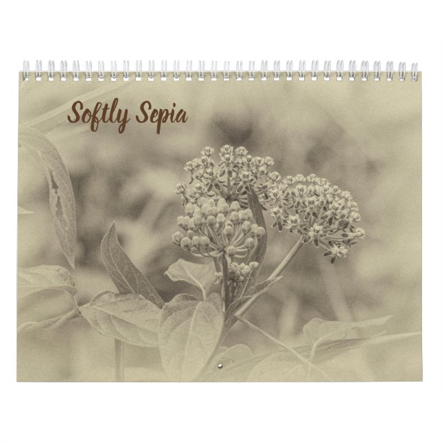 Calendario suavemente sepia (Tapa)