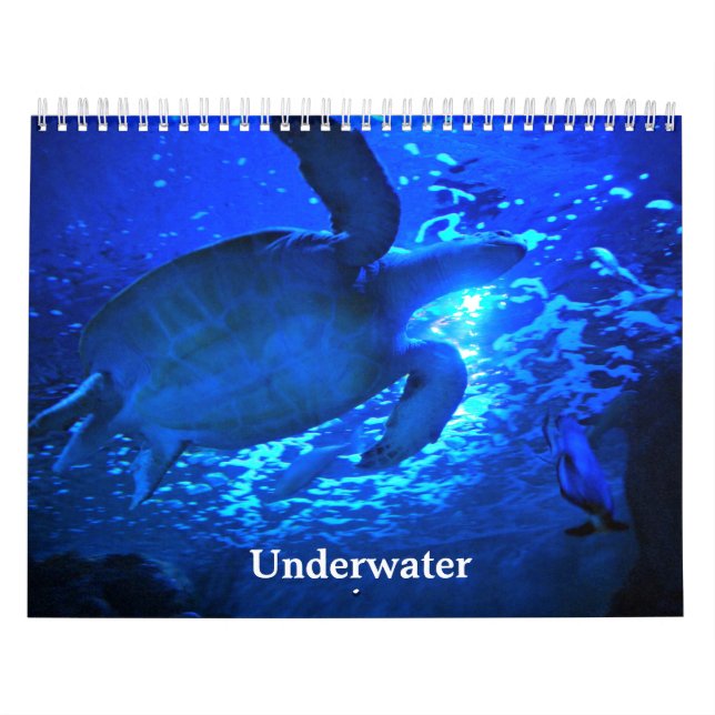 Calendario Subacuática (Tapa)