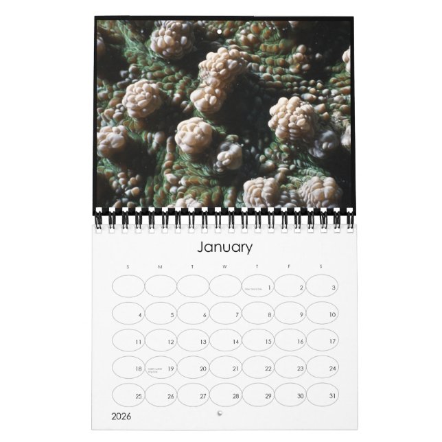 calendario subacuático 2010 (Jan 2026)