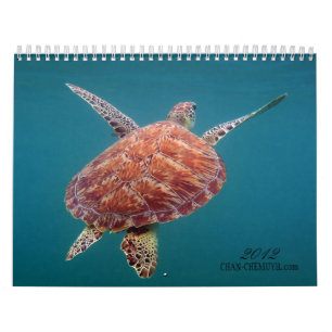 Calendario subacuático de Chan Chemuyil