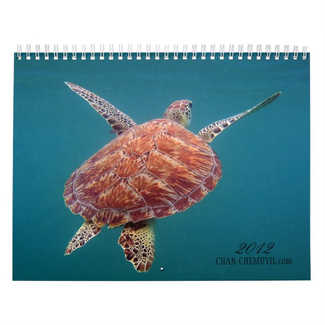 Calendario subacuático de Chan Chemuyil (Tapa)