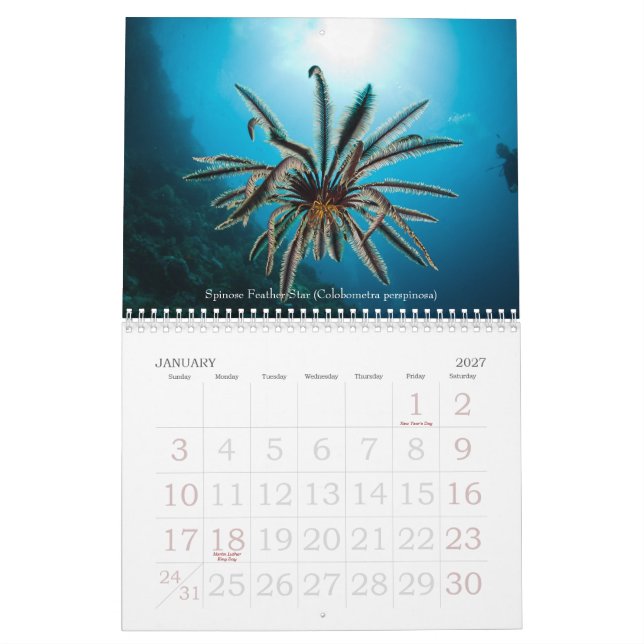 Calendario subacuático de la vida marina de 2012 (Jan 2027)