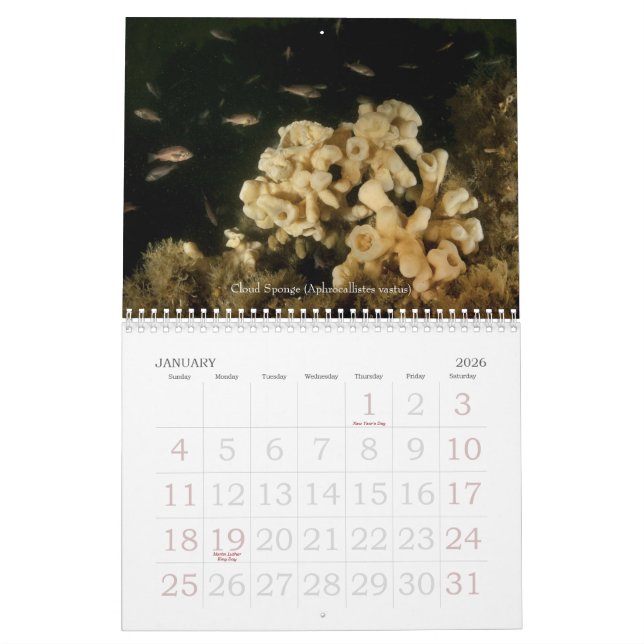 Calendario subacuático de los viajes 2010 (Jan 2026)