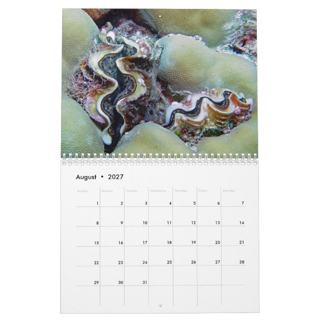 Calendario subacuático - Palau (Aug 2027)