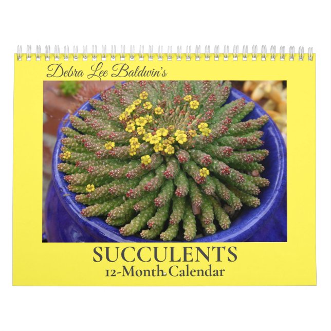 Calendario Suculentos 2 meses de Debra Lee Baldwin (Tapa)