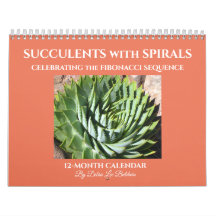 Suculentos con espirales fibonacci