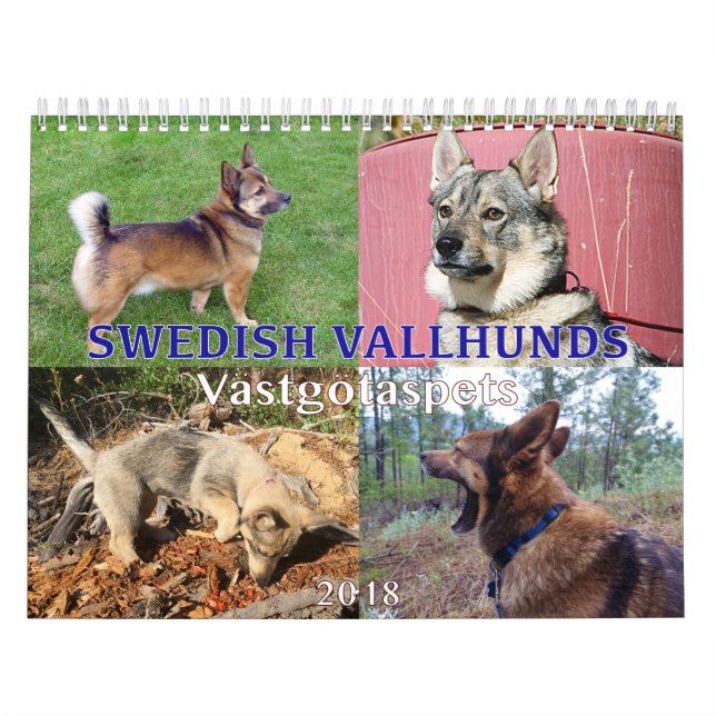 Calendario Sueco Vallhund, Vastgotaspets, Callendar 2018 (Tapa)