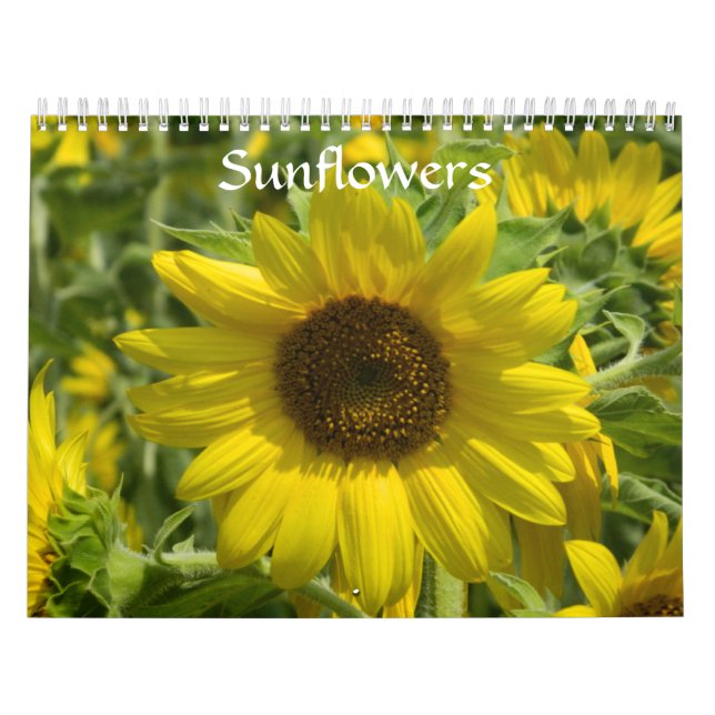 Calendario Sunflower (Tapa)