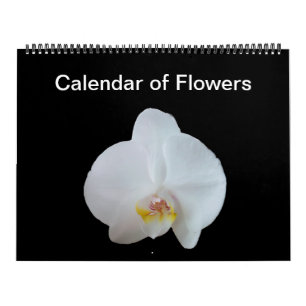 Calendario Sunny Daze Photo Calendar de Flores