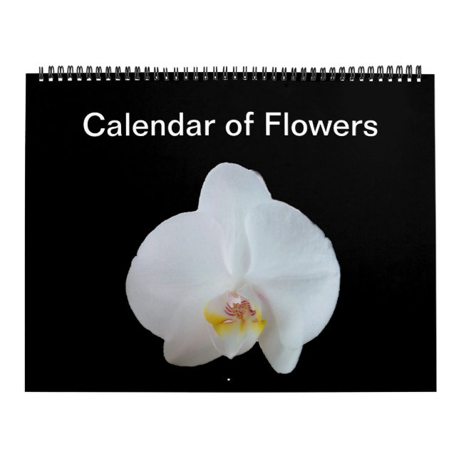 Calendario Sunny Daze Photo Calendar de Flores (Tapa)