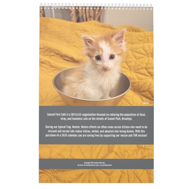 Calendario Sunset Park Cats | 2026 Calendar | Kittens (Reverso)