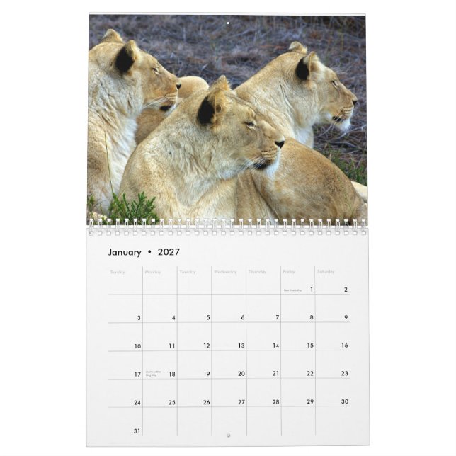 Calendario Suráfrica (Jan 2027)