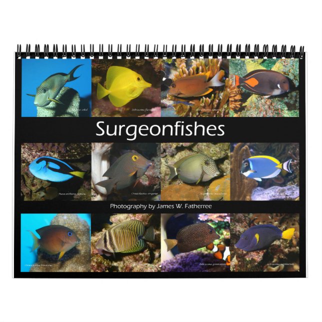 Calendario Surgeonfishes Wall Calendar de J.W. Padre. (Tapa)