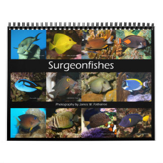 Calendario Surgeonfishes Wall Calendar de J.W. Padre.