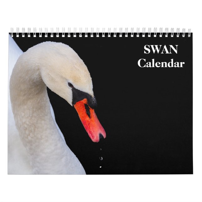 Calendario Swan 2025 (Tapa)