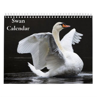 Calendario Swan 2025