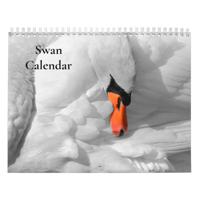 Calendario Swan 2025 (Tapa)