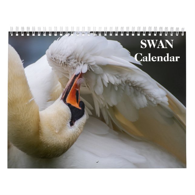 Calendario Swan 2025 (Tapa)