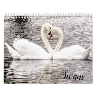 Calendario Swans of Spring Grove 